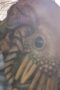 Nonton Film Kamen Rider Black Sun Season 1 Episode 8 WONGMOVIE Nonton Film Kamen Rider Black Sun Season 1 Episode 8 WONGMOVIE