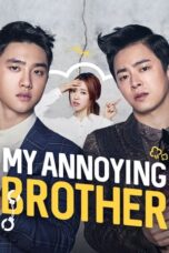 Nonton Film My Annoying Brother (2016) WONGMOVIE