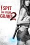 Nonton Film I Spit on Your Grave 2 (2013) WONGMOVIE Nonton Film I Spit on Your Grave 2 (2013) WONGMOVIE
