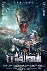 Nonton Film Crazy Tsunami (2021) WONGMOVIE