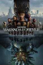 Nonton Film Black Panther: Wakanda Forever (2022) WONGMOVIE