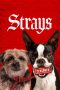 Nonton Film Strays (2023) WONGMOVIE Nonton Film Strays (2023) WONGMOVIE