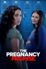 Nonton Film The Pregnancy Promise (2023) WONGMOVIE