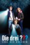 Nonton Film Die Drei Erbe Des Drachen (2023) WONGMOVIE