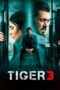Nonton Film Tiger 3 (2023) WONGMOVIE