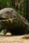 Nonton Film Life on Our Planet Season 1 Episode 1 WONGMOVIE Nonton Film Life on Our Planet Season 1 Episode 1 WONGMOVIE