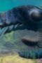 Nonton Film Life on Our Planet Season 1 Episode 2 WONGMOVIE Nonton Film Life on Our Planet Season 1 Episode 2 WONGMOVIE