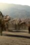Nonton Film Life on Our Planet Season 1 Episode 5 WONGMOVIE Nonton Film Life on Our Planet Season 1 Episode 5 WONGMOVIE