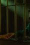 Nonton Film Yu Yu Hakusho Season 1 Episode 4 WONGMOVIE Nonton Film Yu Yu Hakusho Season 1 Episode 4 WONGMOVIE