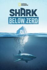 Nonton Film Shark Below Zero (2023) WONGMOVIE