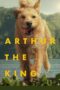 Nonton Film Arthur the King (2024) WONGMOVIE Nonton Film Arthur the King (2024) WONGMOVIE