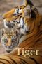 Nonton Film Tiger (2024) WONGMOVIE Nonton Film Tiger (2024) WONGMOVIE