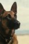 Nonton Film Fallout Season 1 Episode 7 WONGMOVIE Nonton Film Fallout Season 1 Episode 7 WONGMOVIE