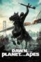 Nonton Film Dawn of the Planet of the Apes (2014) WONGMOVIE Nonton Film Dawn of the Planet of the Apes (2014) WONGMOVIE