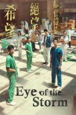 Nonton Film Eye of the Storm (2023) WONGMOVIE