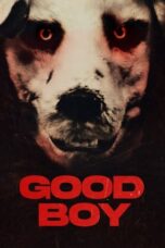 Nonton Film Good Boy (2022) WONGMOVIE