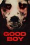 Nonton Film Good Boy (2022) WONGMOVIE Nonton Film Good Boy (2022) WONGMOVIE