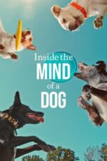 Nonton Film Inside the Mind of a Dog (2024) WONGMOVIE