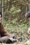 Nonton Film ACMA:GAME Season 1 Episode 8 WONGMOVIE Nonton Film ACMA:GAME Season 1 Episode 8 WONGMOVIE