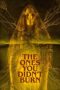 Nonton Film The Ones You Didn’t Burn (2022) WONGMOVIE Nonton Film The Ones You Didn’t Burn (2022) WONGMOVIE