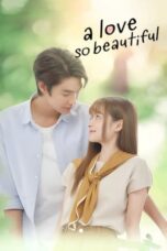 Nonton Film A Love So Beautiful (2024) WONGMOVIE