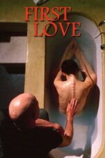 Nonton Film First Love (2004) WONGMOVIE