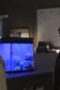 Nonton Film Siren Season 1 Episode 7 WONGMOVIE Nonton Film Siren Season 1 Episode 7 WONGMOVIE