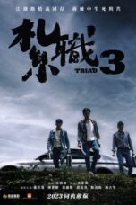 Nonton Film Triad 3 (2024) WONGMOVIE