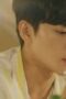 Nonton Film Love Is Like A Cat Season 1 Episode 12 WONGMOVIE