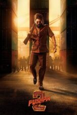 Nonton Film Pushpa 2 – The Rule (2024) WONGMOVIE