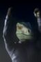 Nonton Film Jurassic World: Chaos Theory Season 2 Episode 4 WONGMOVIE Nonton Film Jurassic World: Chaos Theory Season 2 Episode 4 WONGMOVIE