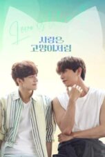 Nonton Film Love Is Like A Cat (2024) WONGMOVIE
