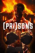 Nonton Film Carnage (2024) WONGMOVIE