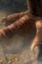 Nonton Film Jurassic World: Chaos Theory Season 1 Episode 4 WONGMOVIE Nonton Film Jurassic World: Chaos Theory Season 1 Episode 4 WONGMOVIE