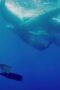 Nonton Film Welcome to Earth Season 1 Episode 1 WONGMOVIE Nonton Film Welcome to Earth Season 1 Episode 1 WONGMOVIE
