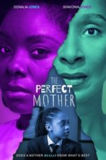 Nonton Film The Perfect Mother (2024) WONGMOVIE