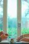 Nonton Film Prisma Season 1 Episode 2 WONGMOVIE Nonton Film Prisma Season 1 Episode 2 WONGMOVIE