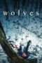 Nonton Film Wolves (2022) WONGMOVIE Nonton Film Wolves (2022) WONGMOVIE