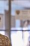 Nonton Film The Flight Attendant Season 1 Episode 5 WONGMOVIE Nonton Film The Flight Attendant Season 1 Episode 5 WONGMOVIE
