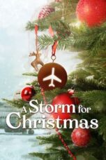 Nonton Film A Storm for Christmas (2022) WONGMOVIE