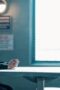 Nonton Film Wilderness Season 1 Episode 6 WONGMOVIE Nonton Film Wilderness Season 1 Episode 6 WONGMOVIE