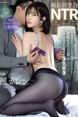 Nonton Film IPZZ-308 Tunanganku Tercinta Selingkuh dengan Mantan Pacarku – Karen Kaede WONGMOVIE
