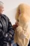Nonton Film The Kardashians Season 6 Episode 3 WONGMOVIE Nonton Film The Kardashians Season 6 Episode 3 WONGMOVIE