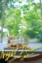 Nonton Film Night Dream Season 1 Episode 1 WONGMOVIE Nonton Film Night Dream Season 1 Episode 1 WONGMOVIE