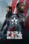 Nonton Film The Falcon and the Winter Soldier (2021) WONGMOVIE