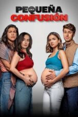 Nonton Film Una pequeña confusión (2024) WONGMOVIE