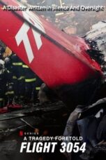 Nonton Film A Tragedy Foretold: Flight 3054 (2025) WONGMOVIE