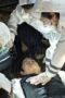 Nonton Film TOKYO MER: Mobile Emergency Room Season 1 Episode 8 WONGMOVIE Nonton Film TOKYO MER: Mobile Emergency Room Season 1 Episode 8 WONGMOVIE