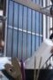 Nonton Film Knockin’ on Locked Door Season 1 Episode 6 WONGMOVIE Nonton Film Knockin’ on Locked Door Season 1 Episode 6 WONGMOVIE