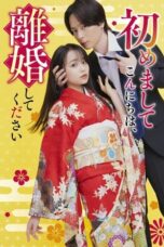 Nonton Film Hello. Nice to Meet You, Let’s Divorce (2024) WONGMOVIE